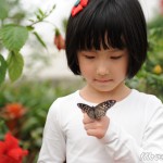 七彩蝶园一游